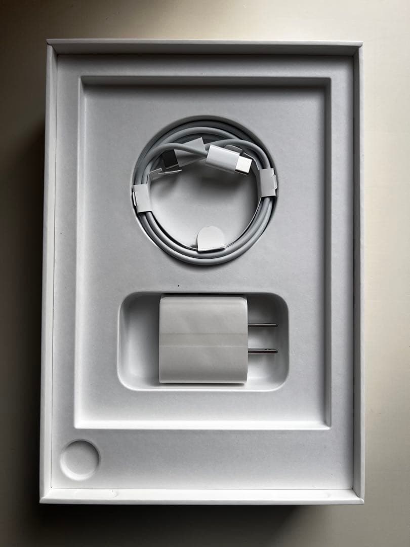 Apple iPad mini 6世代256GB