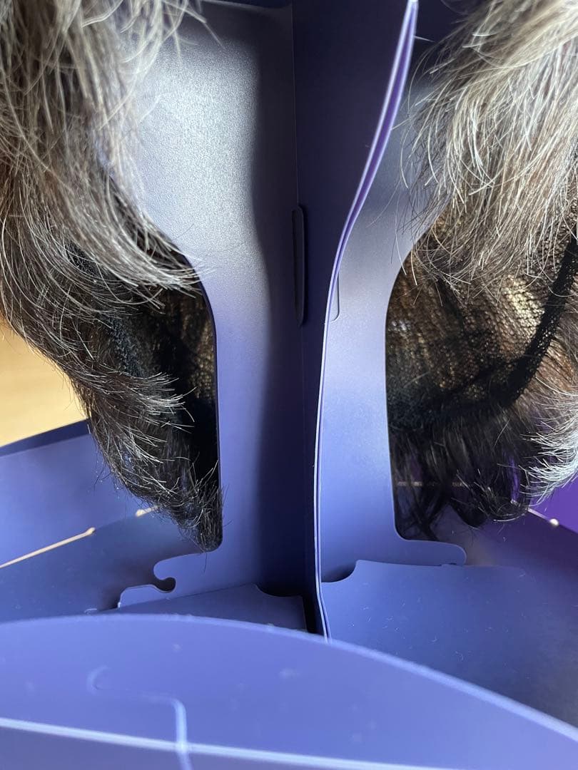 FONTANE グレー ショート　ウィッグ　フル