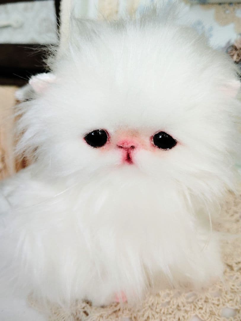 子猫♡寝起きのシロップちゃん♡アートドール♡ぬいぐるみ♡