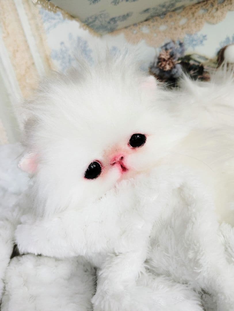 子猫♡寝起きのシロップちゃん♡アートドール♡ぬいぐるみ♡