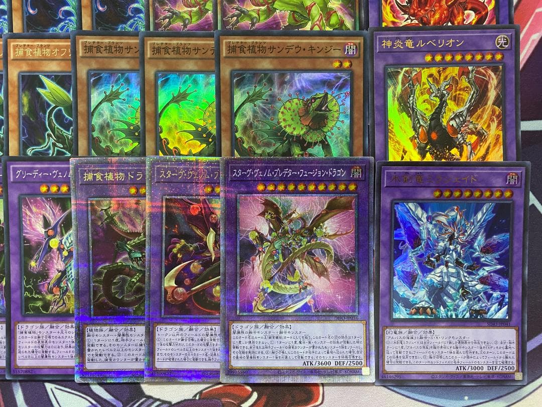 【24時間以内発送】遊戯王　烙印捕食植物（プレデタープランツ）本格構築済みデッキ