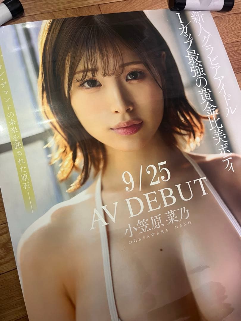【4種セット】【特大非売品】小笠原菜乃　販促 ポスター B2 SOD