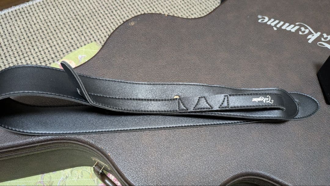 Takamine NPT-012BS【希少・名機】純正ハードケース付