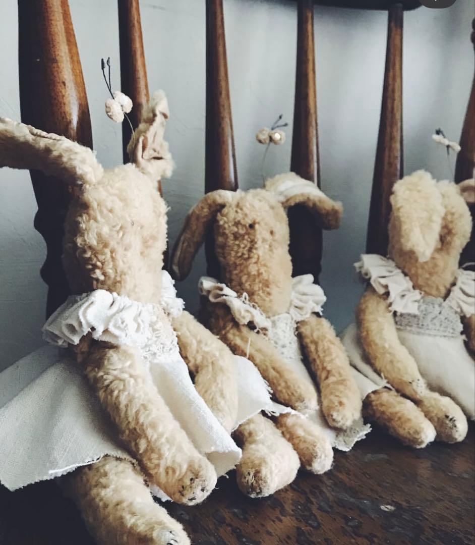 【12月28日までの価格】野ばら社rosily、ウサギ、最終価格‼️