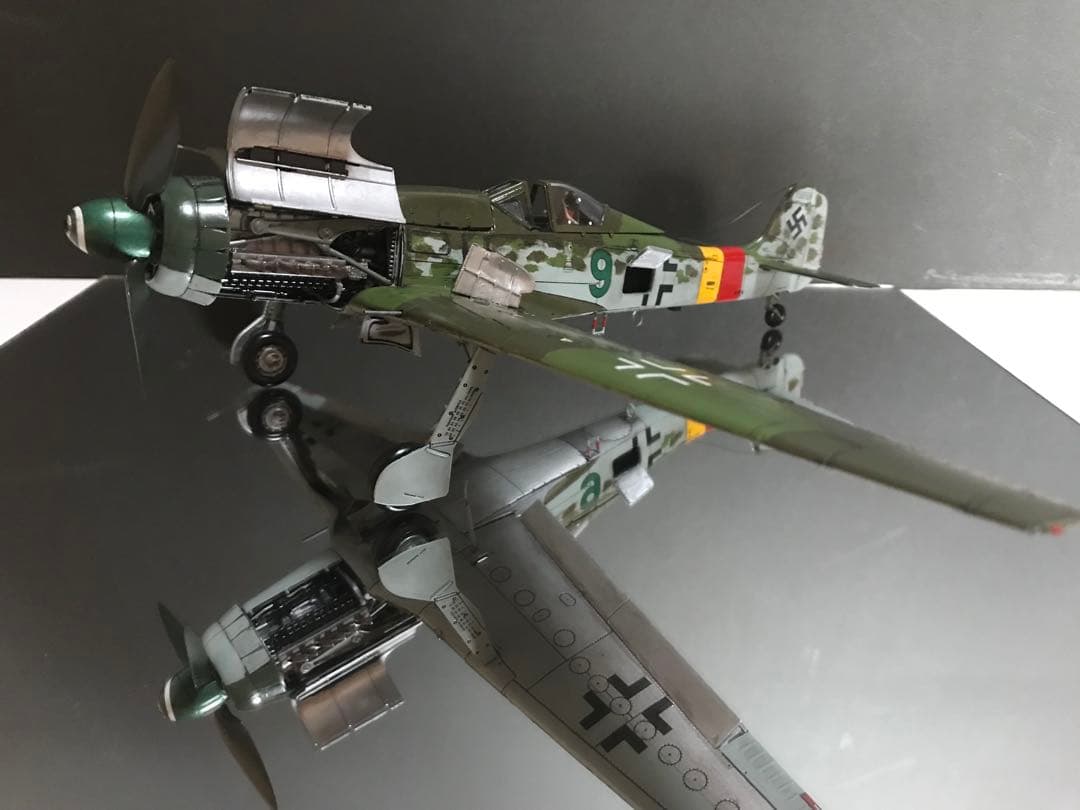 ウォッケウルフTa152H-1