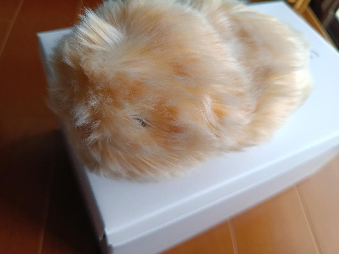 CASIO AIペット Moflin ゴールド PE-M10GD