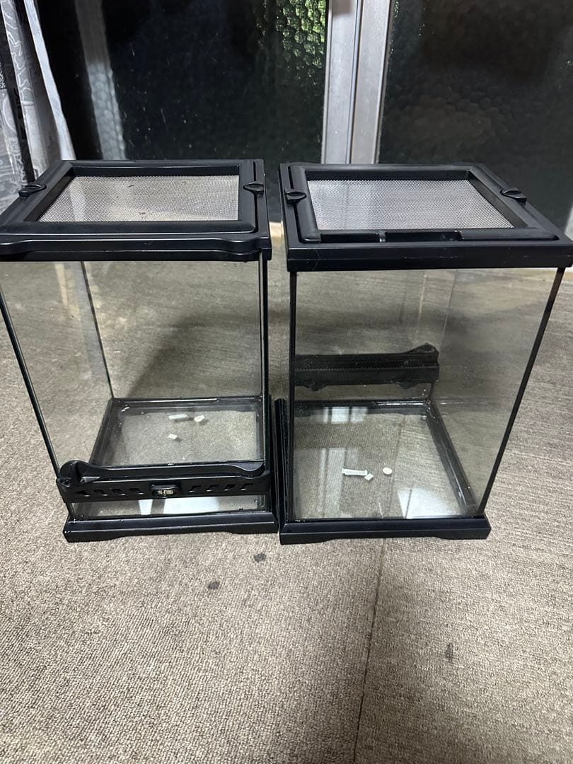 エキゾテラ　グラステラリウム2個セット　値下不可