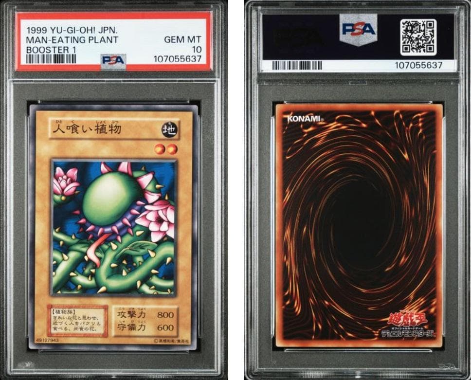 【PSA10】遊戯王　BOOSTER1　人喰い植物