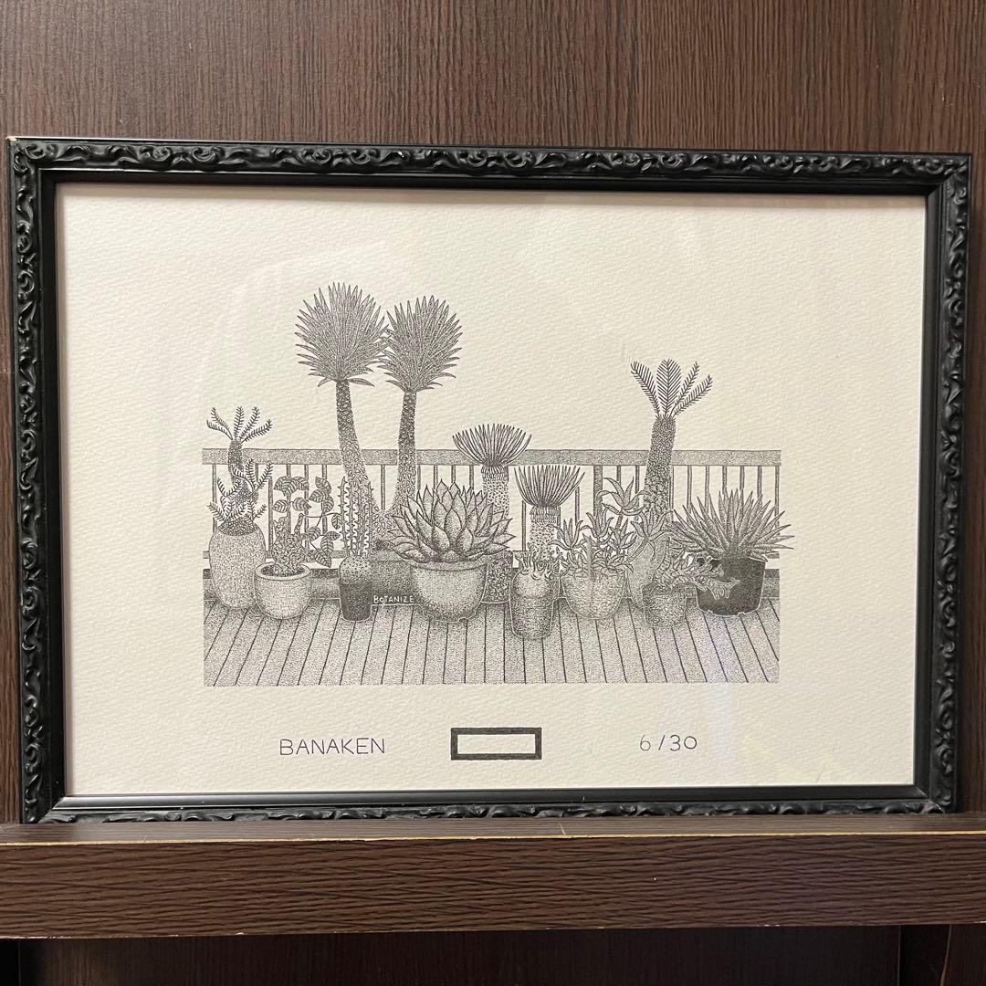 ボタナイズ バナケン　点描画　絵　ポスター　塊根植物　サボテン　数量限定