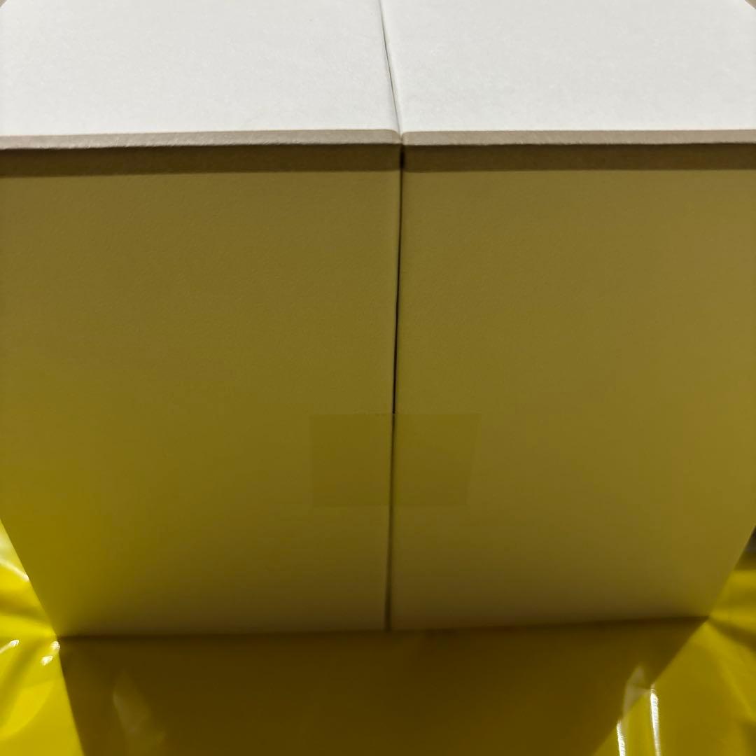 YAMAN Photo PLUS Shiny NEO 美顔器