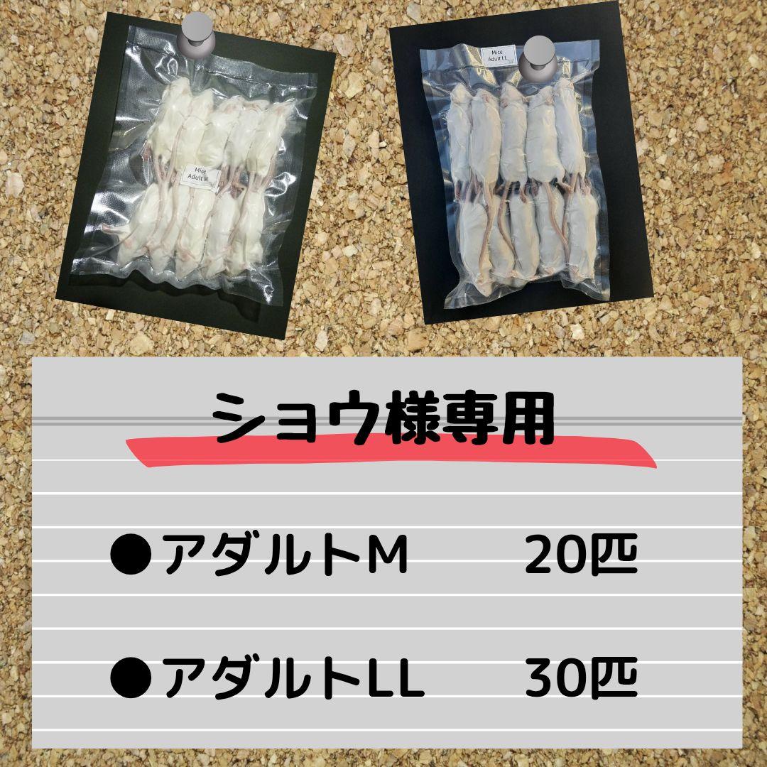 【ショウ】国産冷凍マウス アダルトＭ 20匹、アダルトLL 30匹