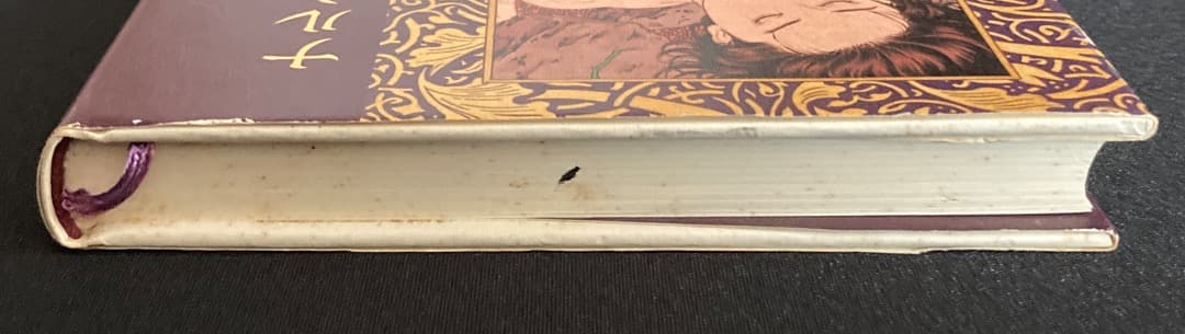 No.743『ナルシス残照』石川貴一 / 山本タカト装画 / 新風舎