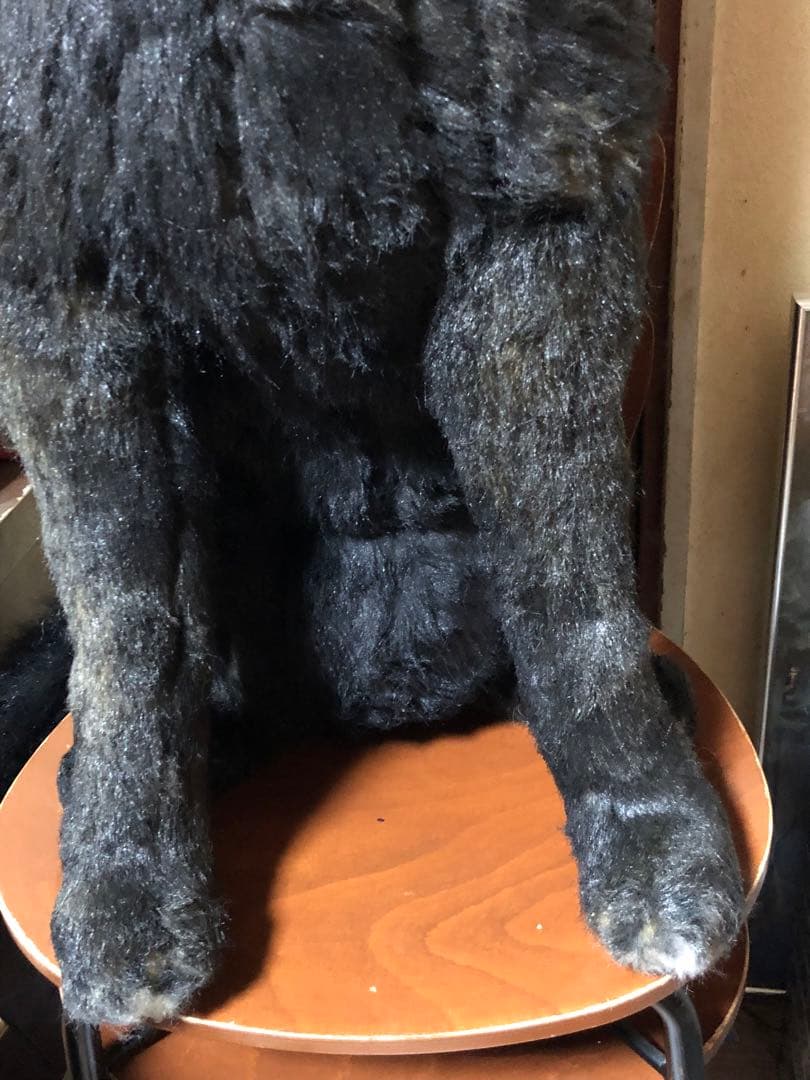 値引き！大特価！大型犬ぬいぐるみ 黒