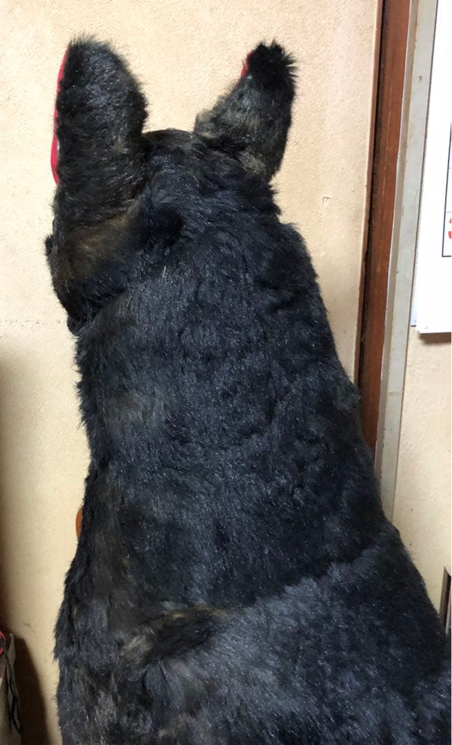 値引き！大特価！大型犬ぬいぐるみ 黒