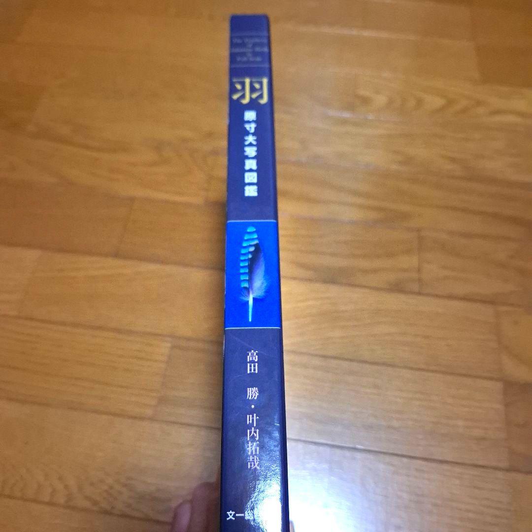 羽 原寸大写真図鑑　高田勝/著 叶内拓哉/著　ポスター付録付き