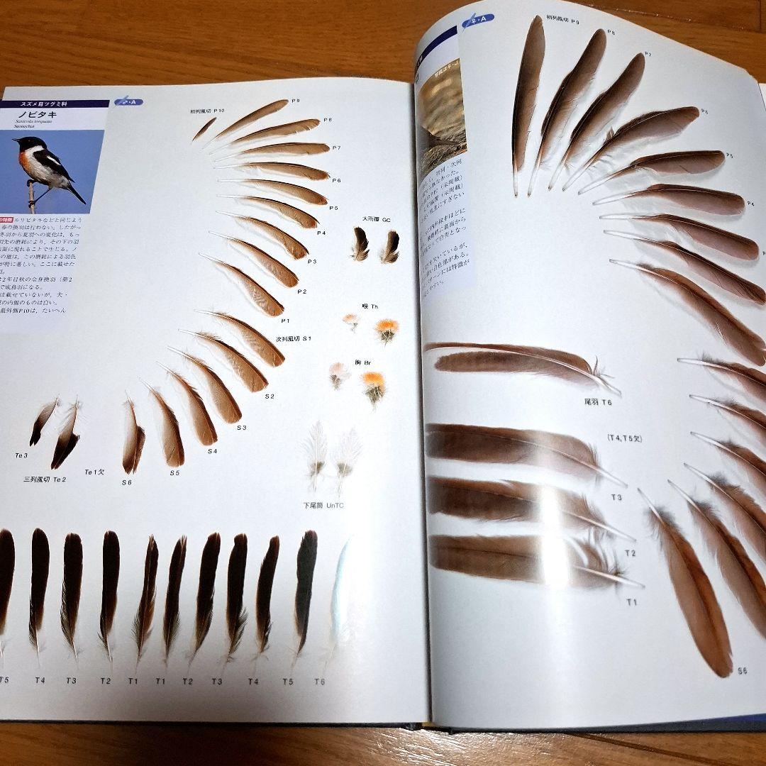 羽 原寸大写真図鑑　高田勝/著 叶内拓哉/著　ポスター付録付き