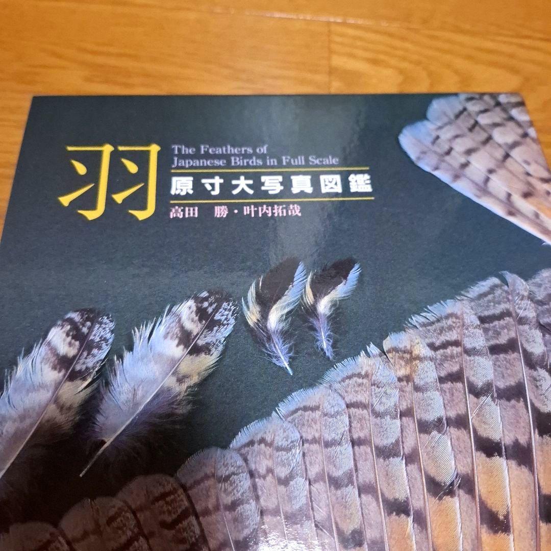 羽 原寸大写真図鑑　高田勝/著 叶内拓哉/著　ポスター付録付き