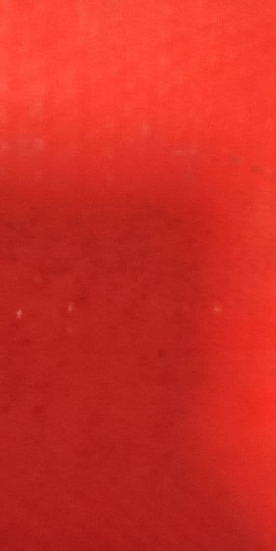 EXPO70 日本万国博覧会開催記念万博トロフィー 太陽の塔