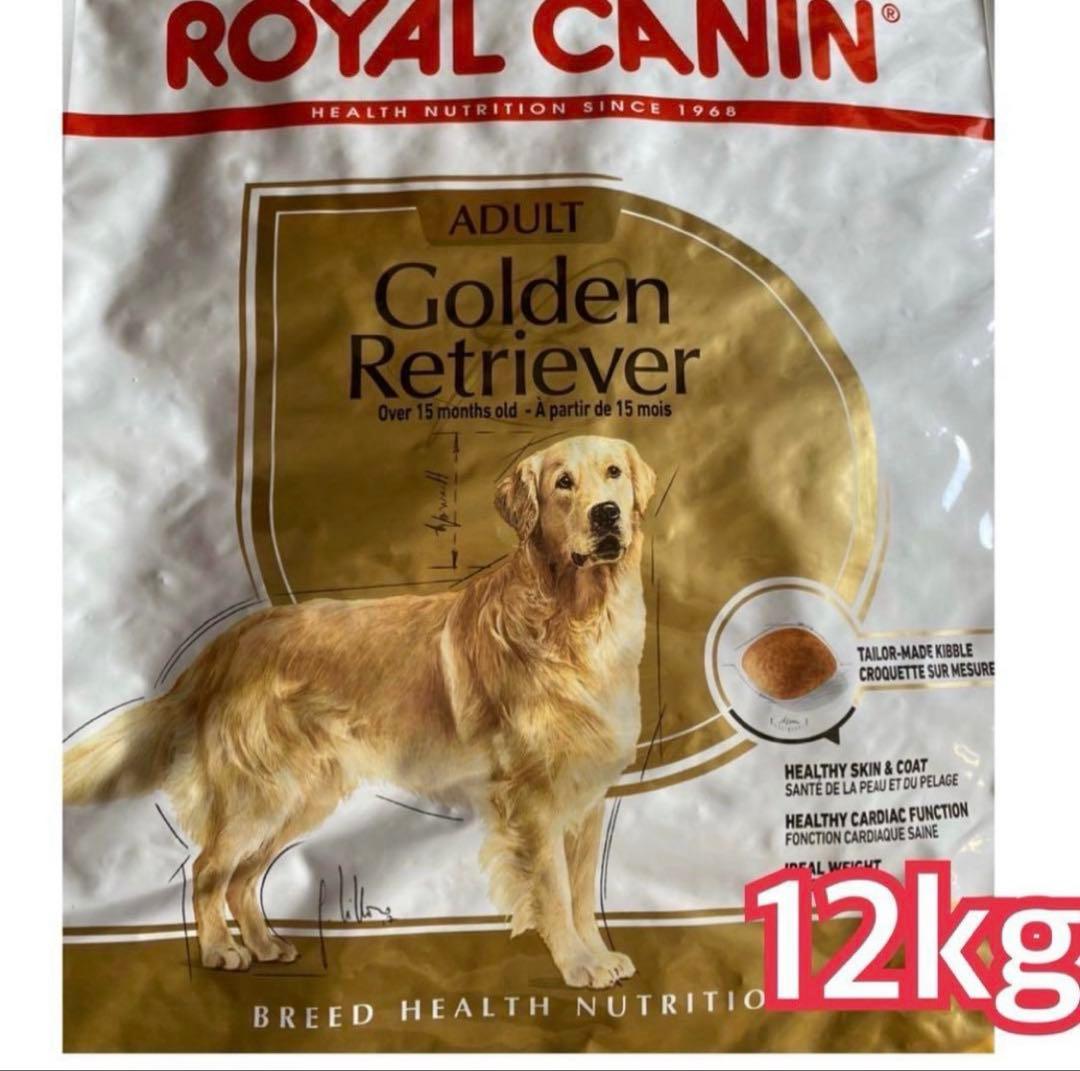  CANIN ゴールデンレトリバー 12kg