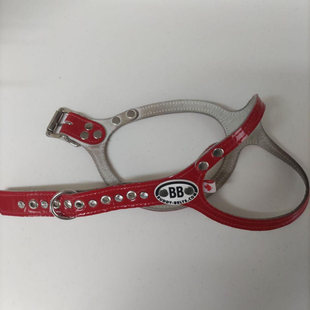 バディベルト ハ－ネスBBベルト ６号エナメル！レッド スワロフスキー付き