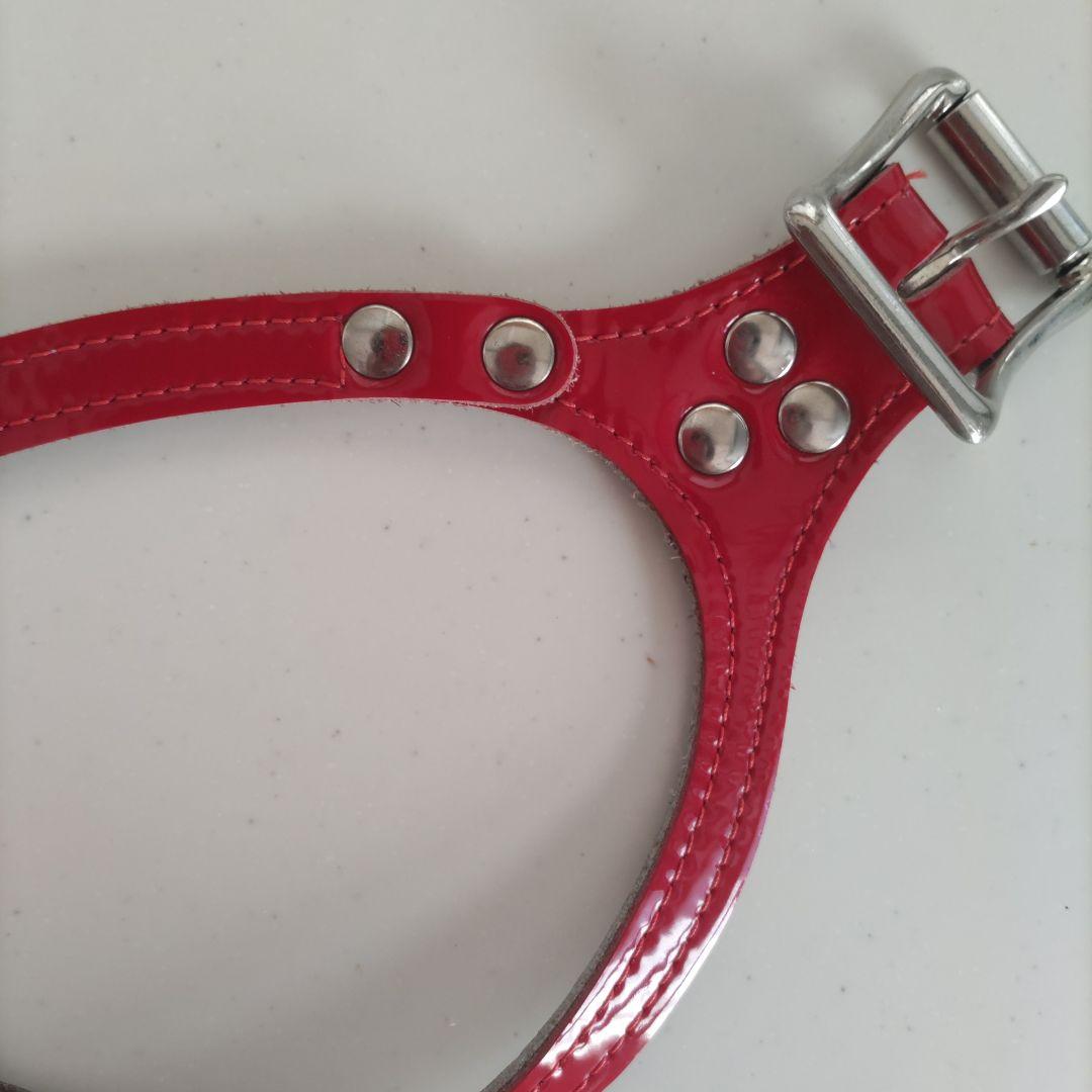 バディベルト ハ－ネスBBベルト ６号エナメル！レッド スワロフスキー付き