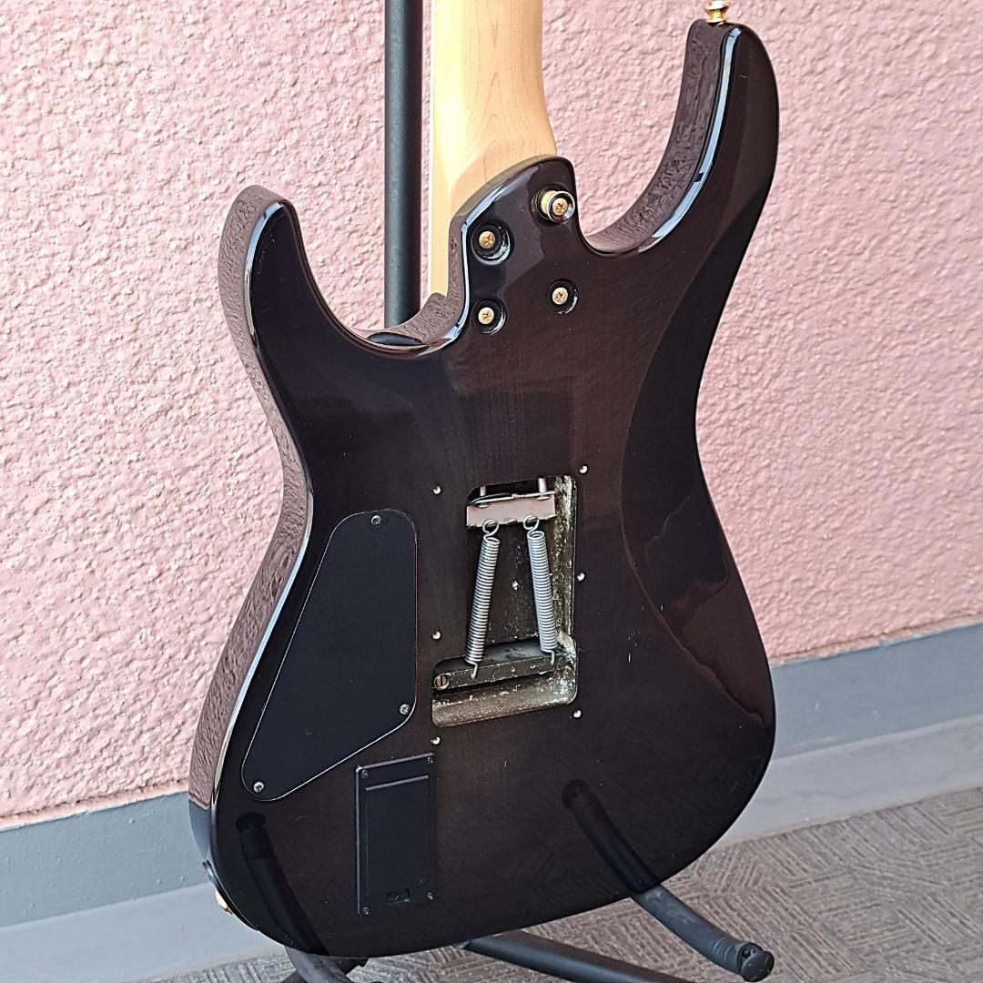 ■FERNANDES FR-75 F.G.I. PRO フェルナンデス