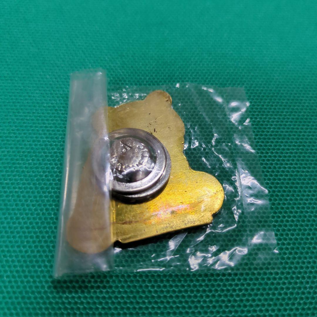 【新品・未使用】関西万博　ASEAN ピンバッジ　非売品　トレイルチャレンジ