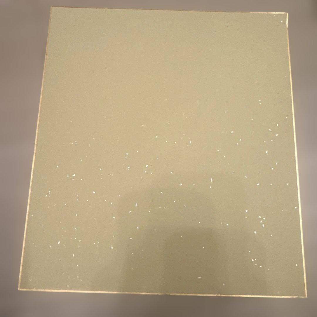 中山美穂　落款付き直筆サイン色紙　ミポリン