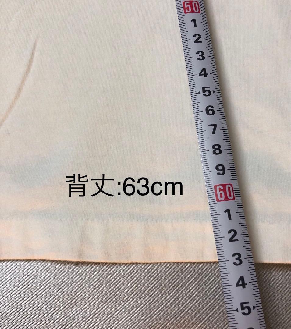 LINKIN PARK リンキン・パーク アーティストTシャツ USED