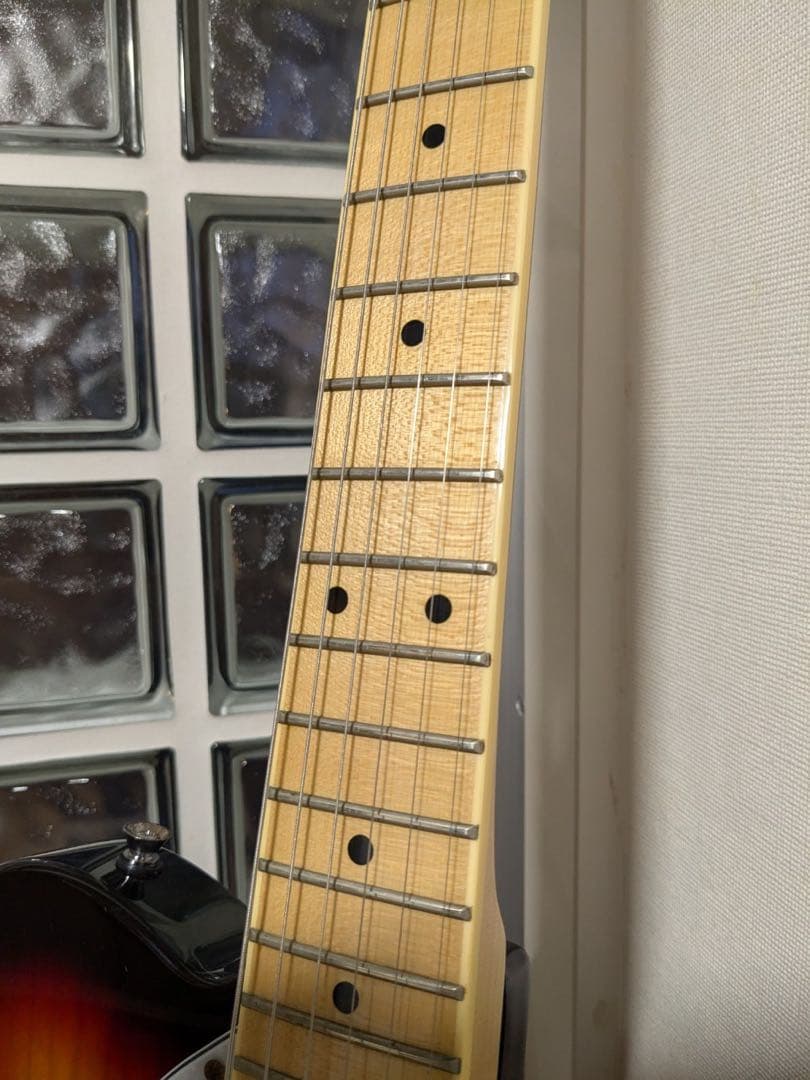 SX Telecaster Thinline (改造)
