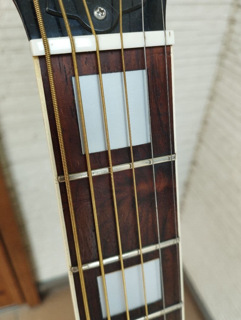 マウンテン＜W-450＞日本製・林楽器製作・トップ単板 guildタイプ