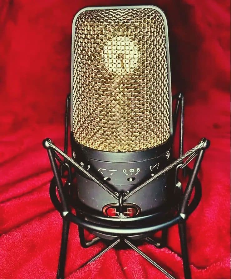 【最終値下げ】【希少品】CAD E300-2 GOLD コンデンサーマイク