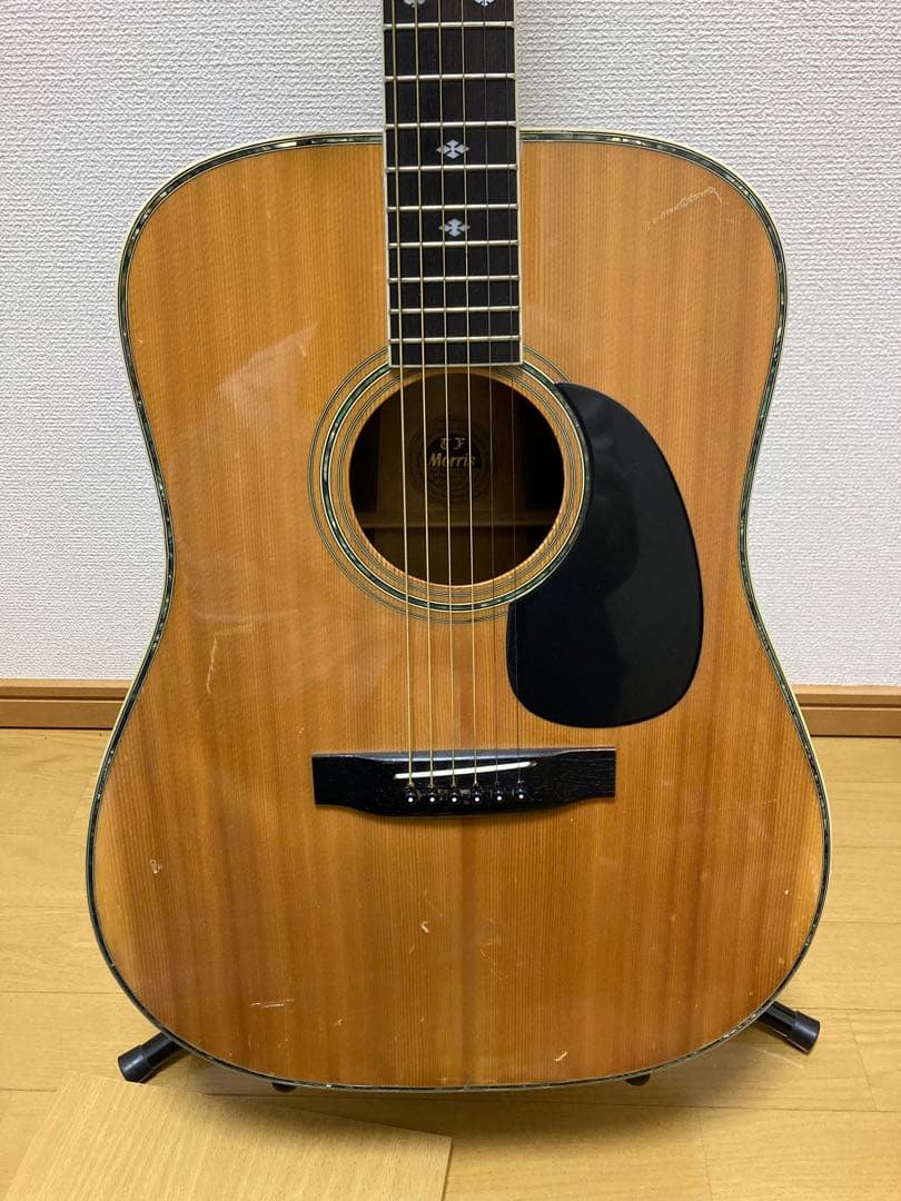 極上の木目MORRIS TF W-50モーリスアコギ(最安値、牛骨サドル)