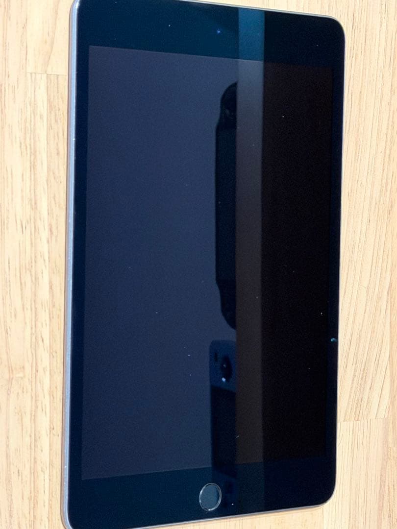 Apple iPad mini 5 本体　256GB wifiモデル