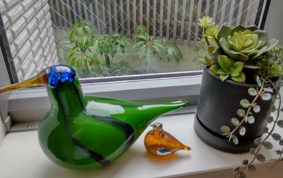 オイバトイッカ　Green Lapwing イッタラバード