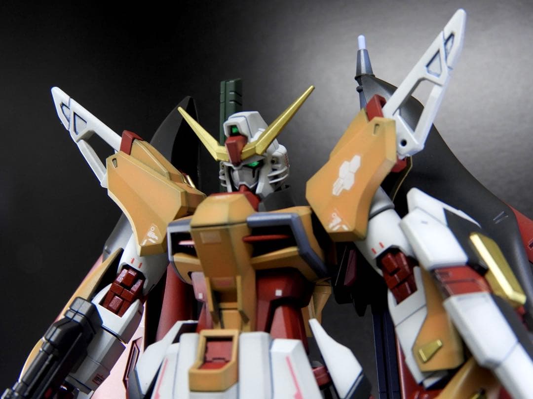 モ*コ様 HGCE デスティニーガンダム (ハイネ専用機) / ガンプラ 完成品
