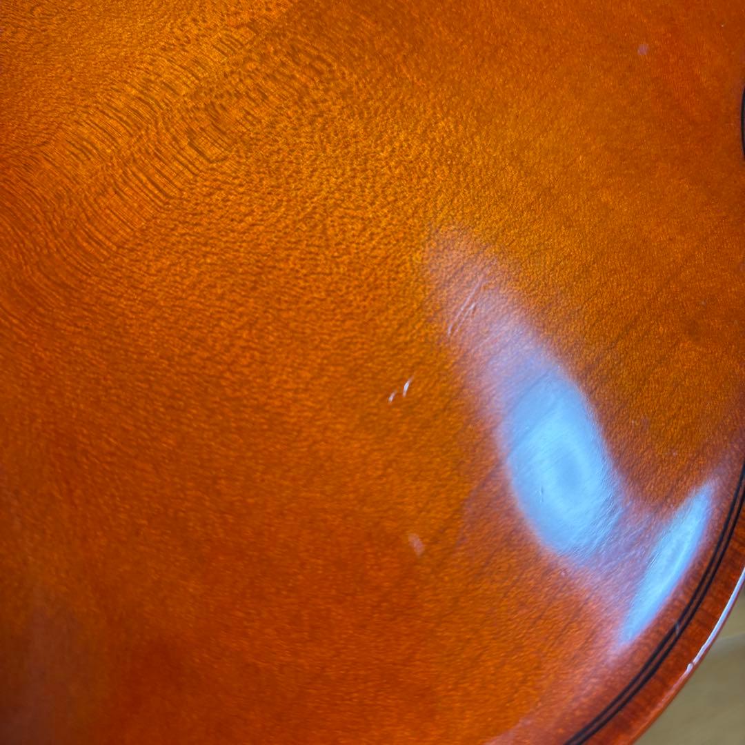 Josef Jan Dvorak バイオリン　No.220 4/4