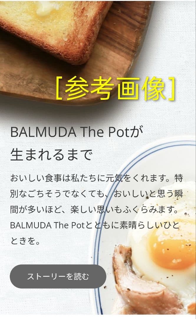 ★送料無料★バルミューダ ザ・ポット