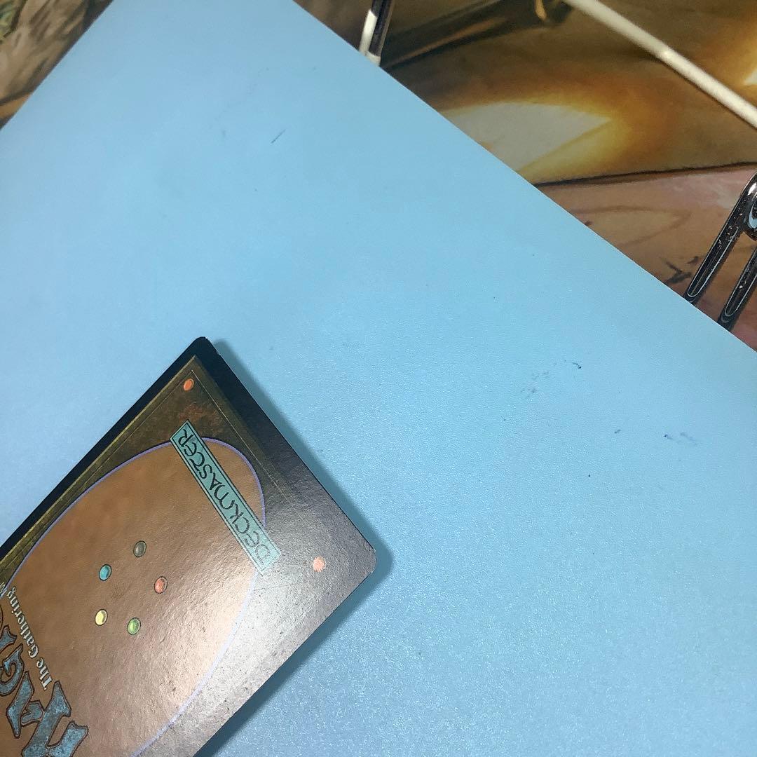 繁殖池/Breeding Pool  DIS英語foil