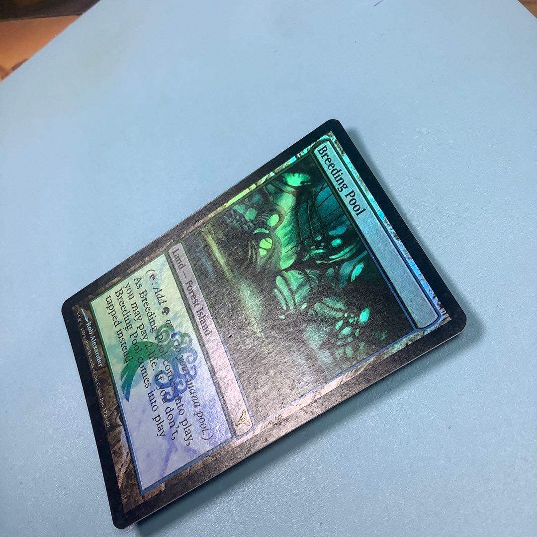 繁殖池/Breeding Pool  DIS英語foil