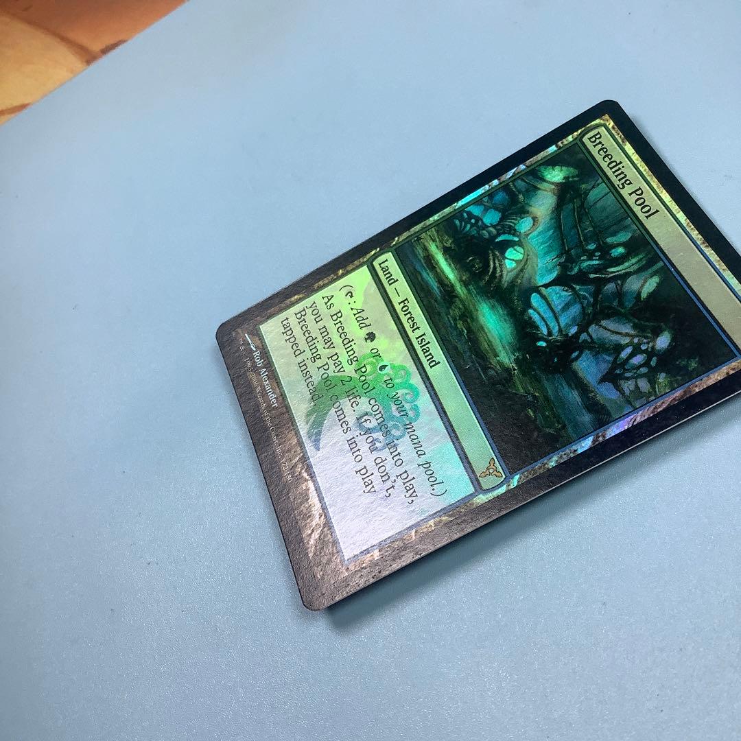 繁殖池/Breeding Pool  DIS英語foil