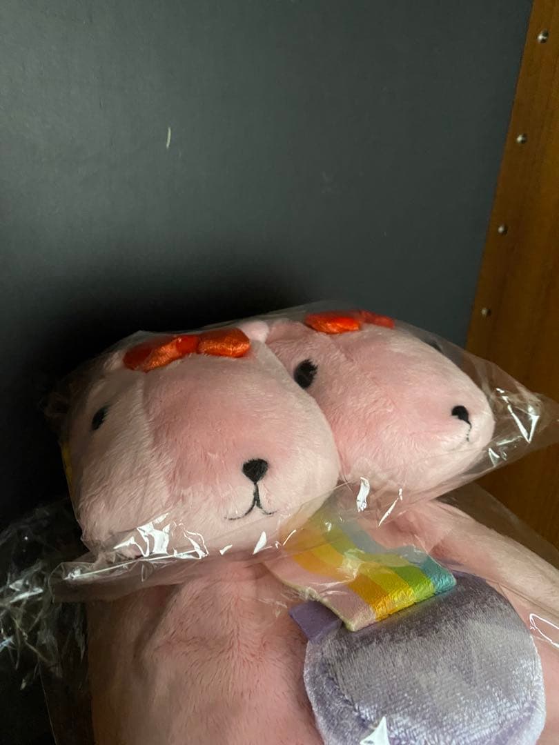 タグ付き　カピバラさん　5周年　20周年　祝いさん　仔祝いさん　ぬいぐるみ