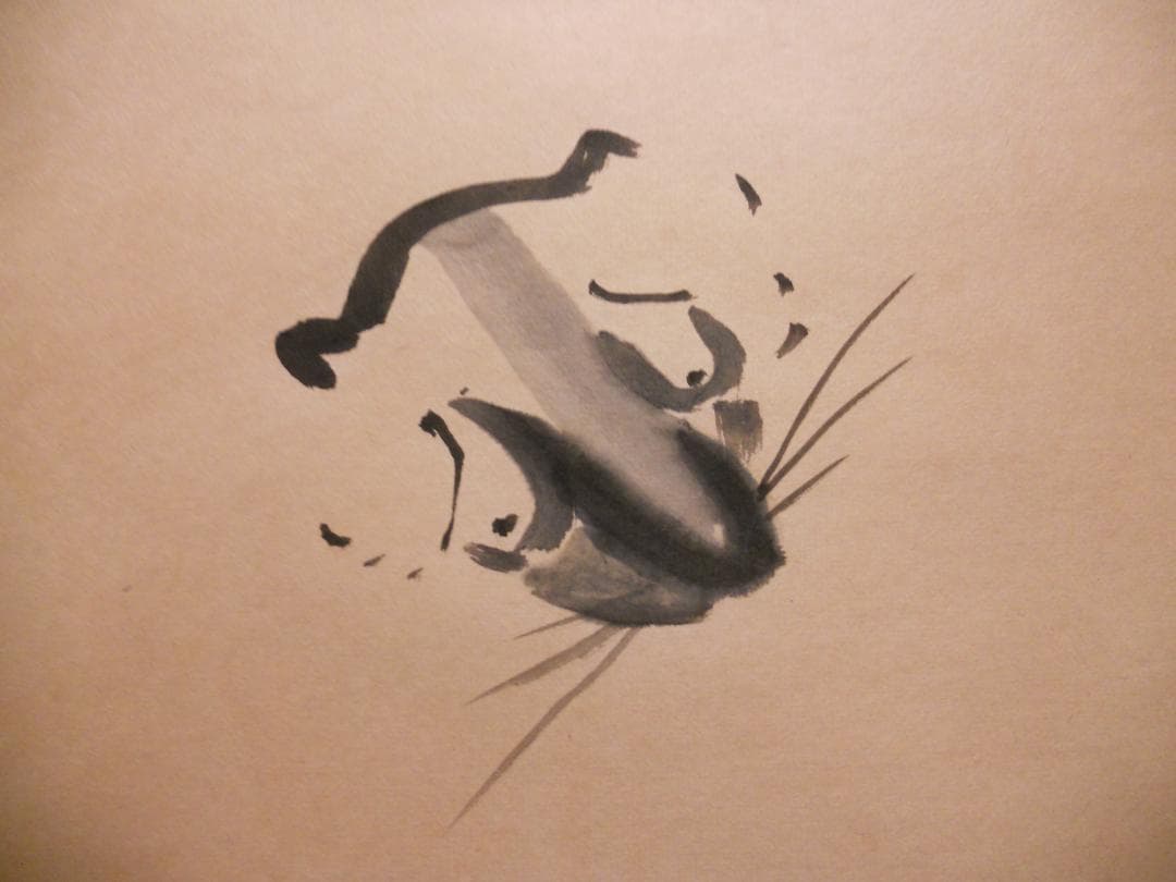 掛け軸 富田狸通 『 たぬき 』 俳句画賛 俳画 紙本 希少 茶道具 掛軸 美品