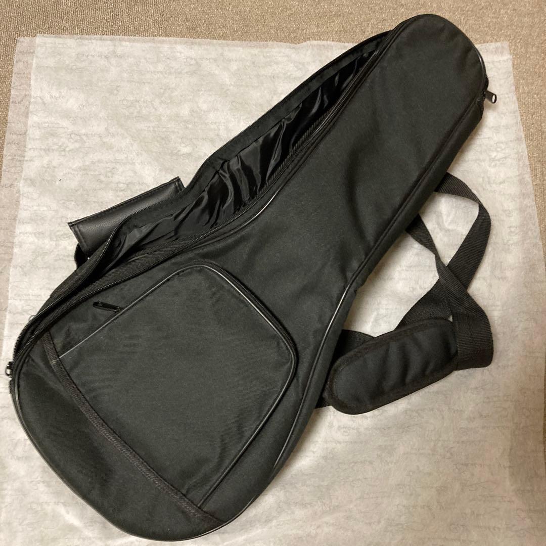 弦楽器 fender mando strat mandocaster