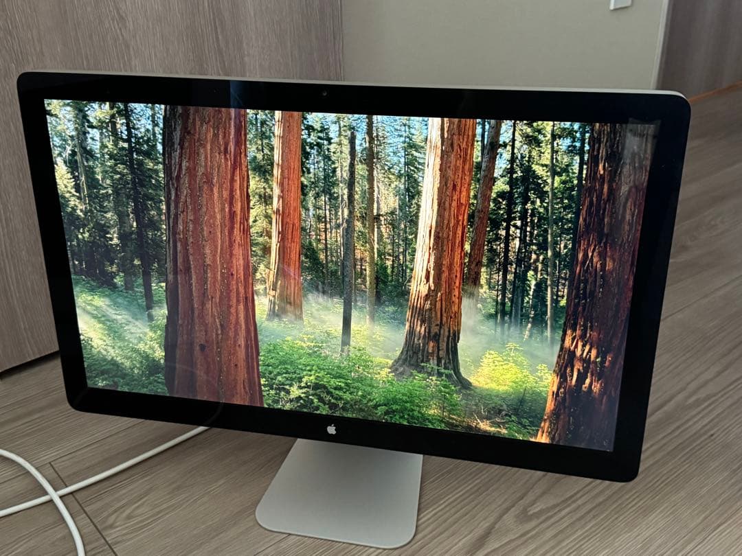 Apple Thunderbolt Display 27インチ