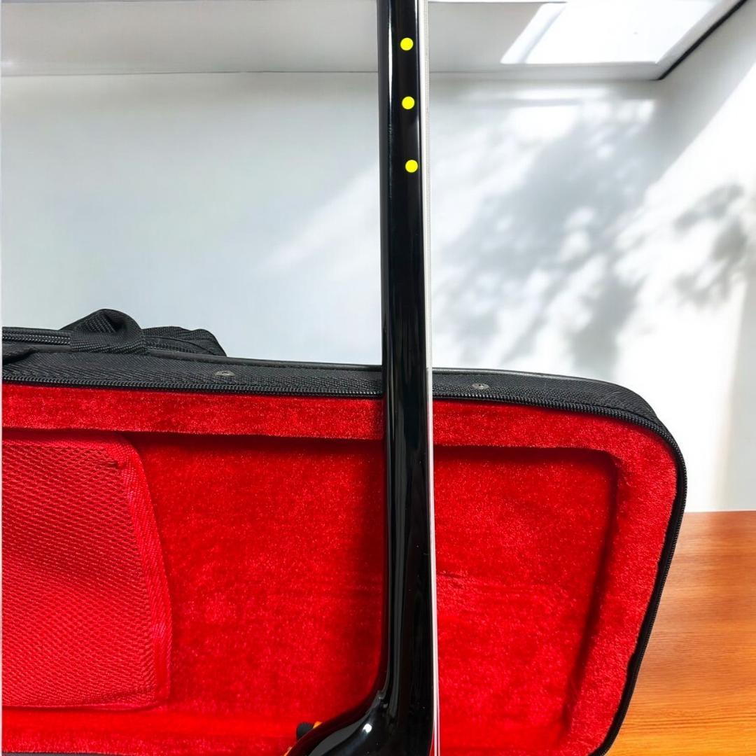 ☆美品 沖縄 琉球 三線 本蛇革 本革 蛇革 本皮 蛇皮 爪 ケース付 伝統楽器