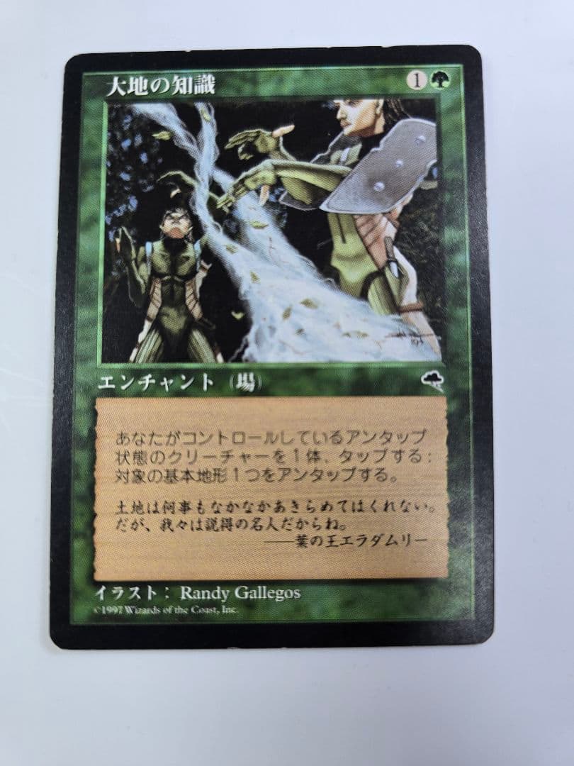 MTG 《大地の知識/Earthcraft》[TMP] 日本語