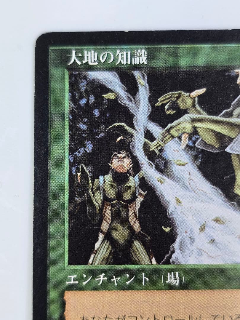 MTG 《大地の知識/Earthcraft》[TMP] 日本語