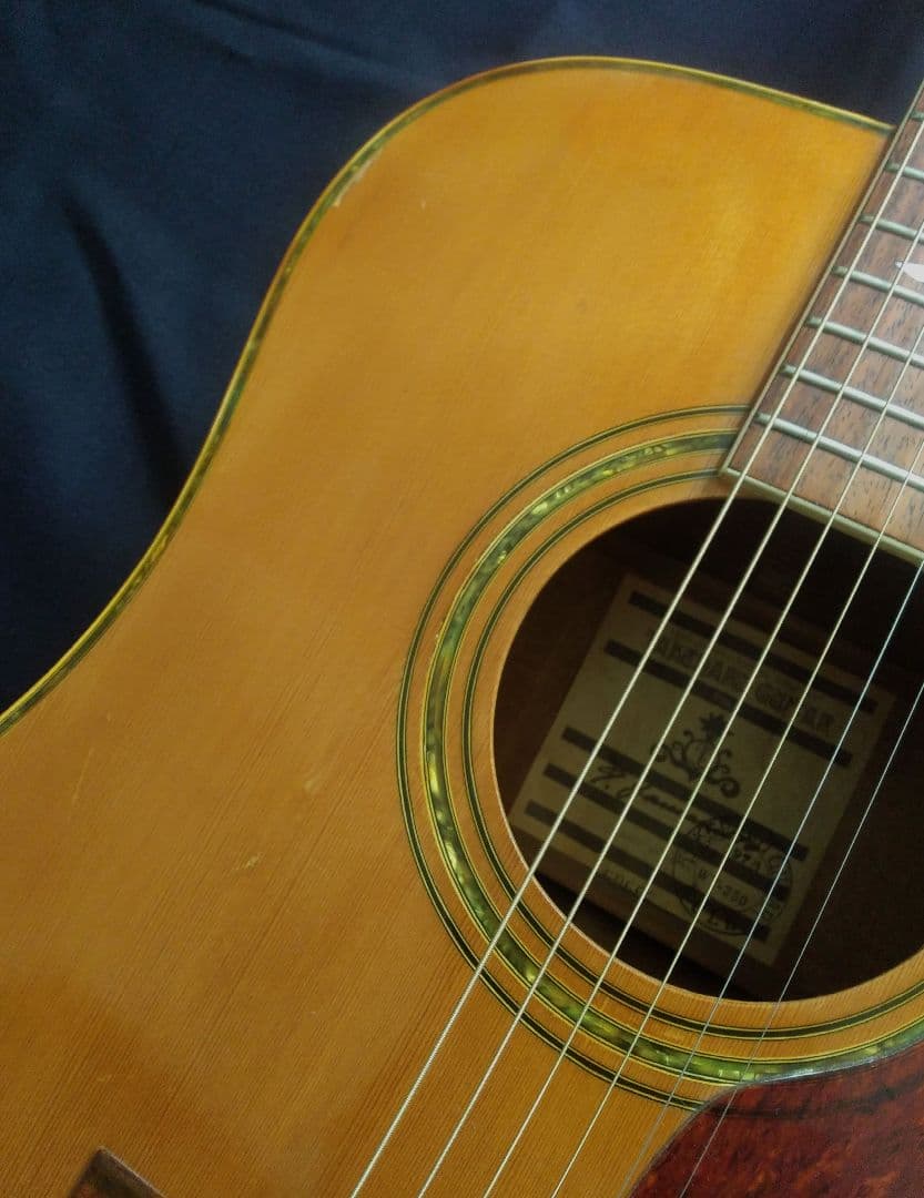 TAKEHARU GUITAR　WT-250　made in Japan