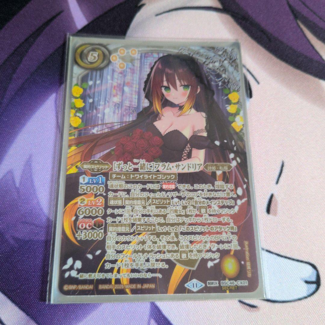 [ずっと一緒に]フラム・サンドリア　シークレット